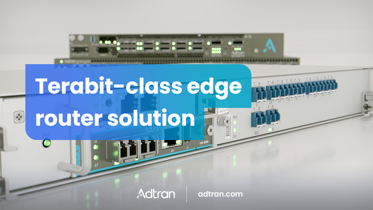 Terabit-class edge router solution