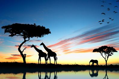 160208_Watering_Hole