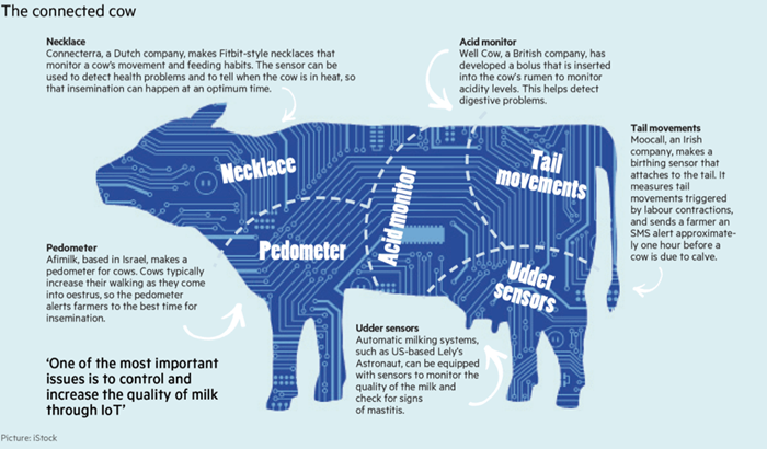 Connected cow chart